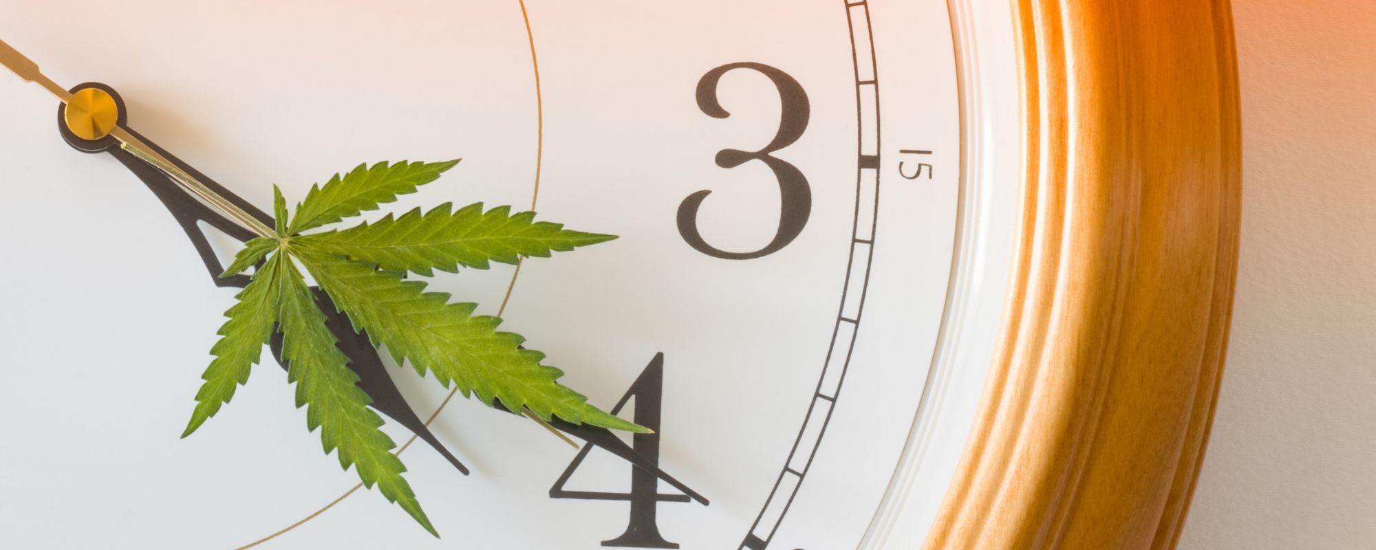 Do You Really Need Rehab for Weed? Signs It's Time to Get Help