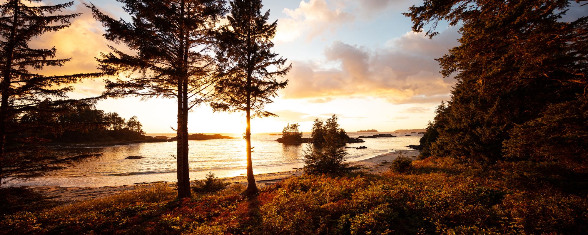 Aetna Coverage for Dual Diagnosis: When Addiction and a Mental Health Condition Are Treated Together