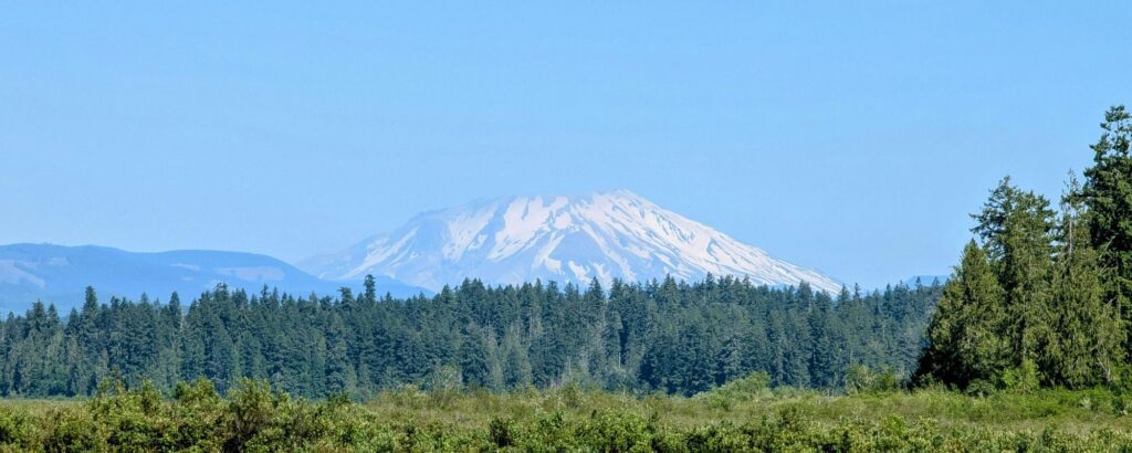Alcohol Treatment Centers That Accept Aetna in Washington: Choosing Between Detox, Residential, and IOP